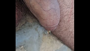 Pisciare