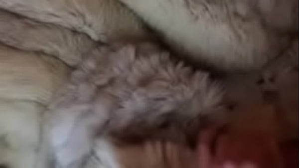 Teasing my dick in fur coat 