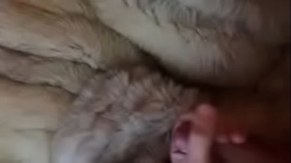 Teasing my dick in fur coat 