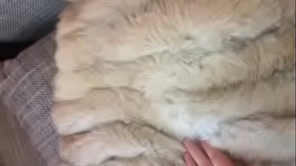 Teasing my dick in FUR COAT 