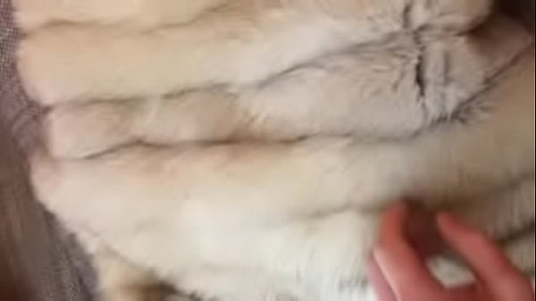 Teasing_my dick_in FUR COAT