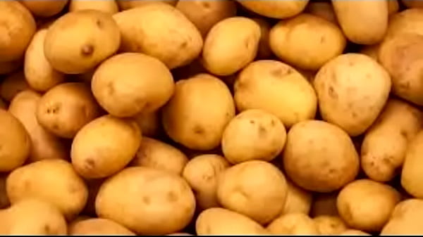 Nonton Batatas thumbnail