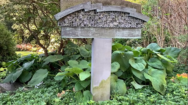 Nonton Edenism Originator Bill Freeland thumbnail