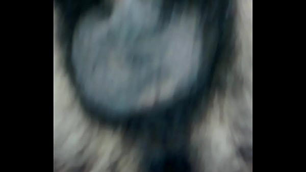 Play MP4 - Bruno e Bernardo&colon; Fudendo Gostoso no Pau Peludo