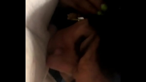 Danica latina internacional 