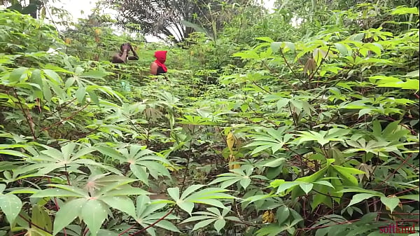 Nonton My Neighbor Wife Didn't Want Anybody To Notice Us That's Why We Decide To Be In The Bush Where No Body Can See Us thumbnail