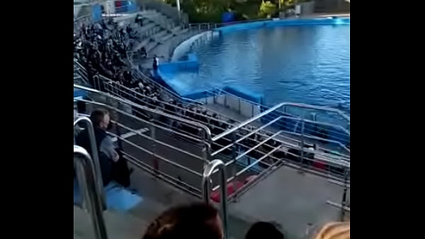 Nonton Caliente thumbnail