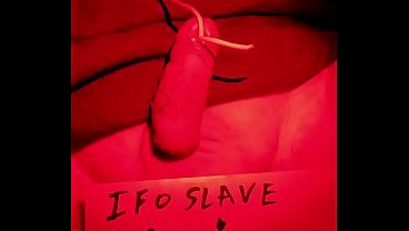 Ifoslave chapter 1 tied up cock
