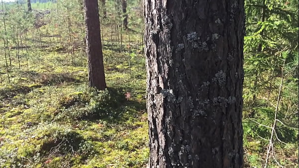 Nonton Young Girl In Short Shorts Walks In The Forest And Gets Horny, She Shows Her Lustful Pussy, Sucks Dick And Fucks Doggystyle - Forest Fun Of Amateur Couple Pov Sex thumbnail