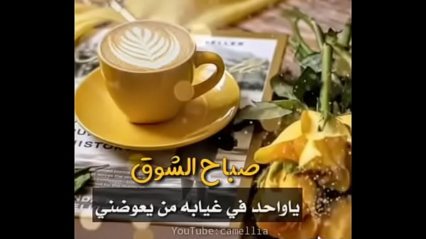فيديو التحقق