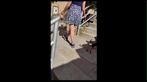 Play MP4 - Asi le rompo el culo a mi cu&ntilde;ada en un rapidin  mientras mi novia no esta - cogiendola por el culo latina caliente follando y nos descubren joven caliente