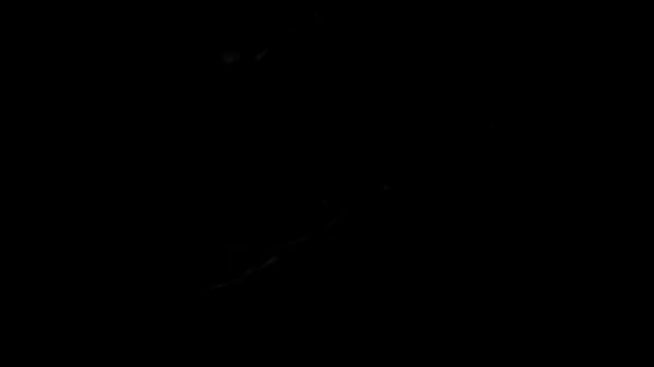 Nonton الحصريات فقط thumbnail