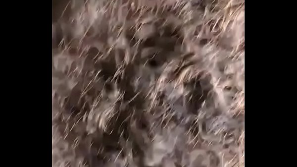 Nonton Meet Thot Gets Face Fucked thumbnail