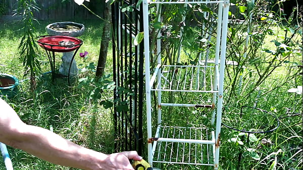 Play MP4 - Hotwife Steffi waters Steffi's Garden