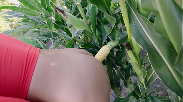 Sam Zee Play With Real Corn In Field Pussy/ass & Fucked Dp thumbnail