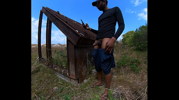 Play MP4 - Sunny day at the park