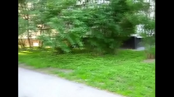 Nonton Immodest Whore Gets Maximum Of Pleasure From The Erected Pecker thumbnail