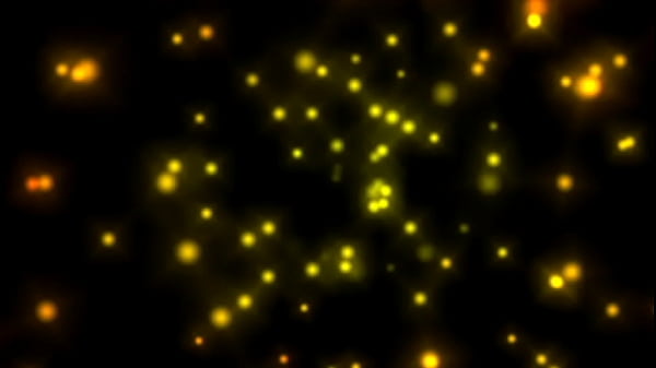 Wanted female sex slaves 