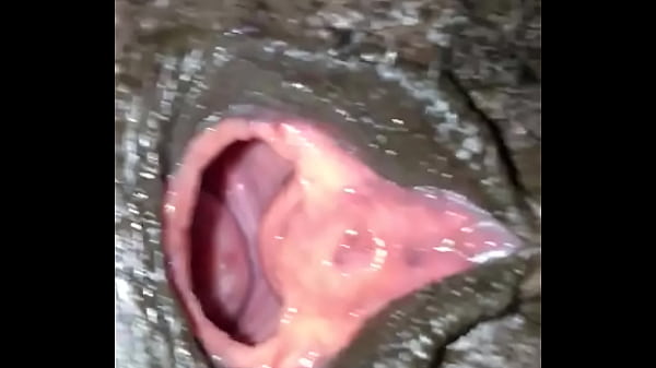 Play MP4 - Pussy Wide Open