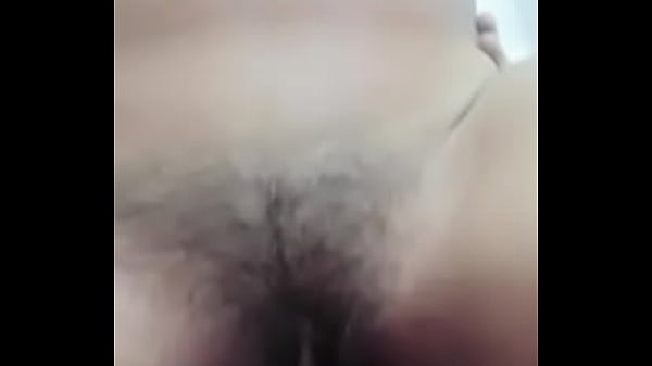 Play MP4 - Compilaci&oacute;n de co&ntilde;os peludos mexicanos