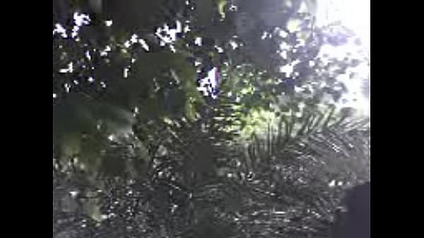 Nonton Bas Buk 03317529624 thumbnail