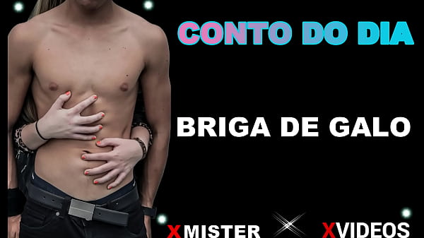 Play MP4 - BRIGA DE GALO