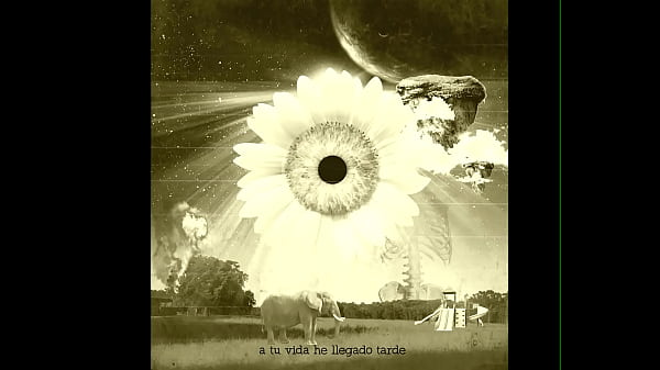 Faris_roman Girasol Lyric Video