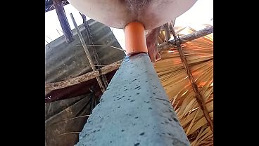 Soy perra en la playa