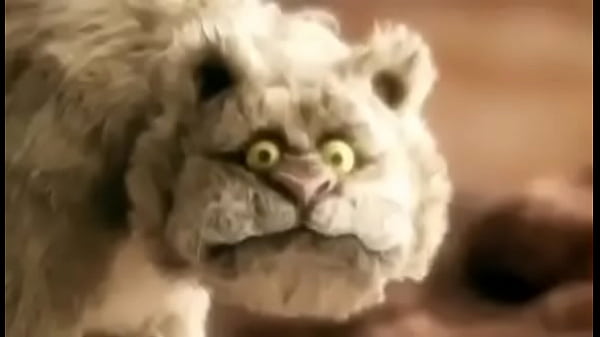 Pika de jegue no cu do elefante 