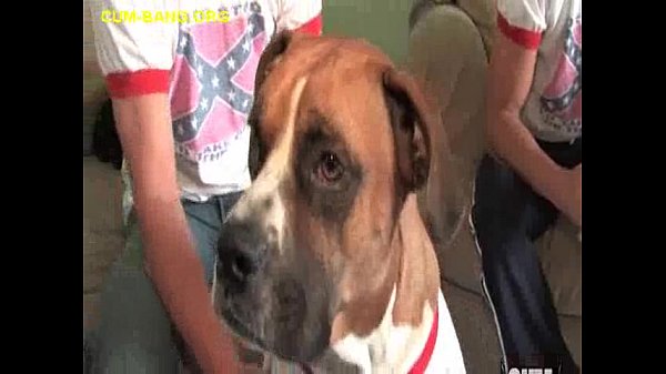 BlackBabe r_By WhiteCocks