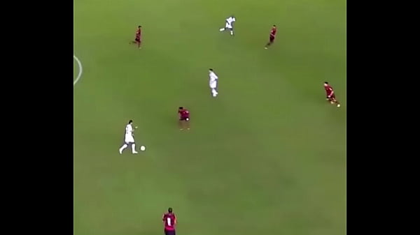 V&iacute;deo de verifica&ccedil;&atilde;o 