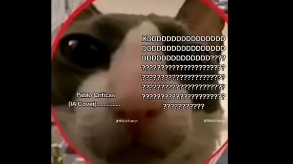 Nonton Yo Y Los Insanos thumbnail