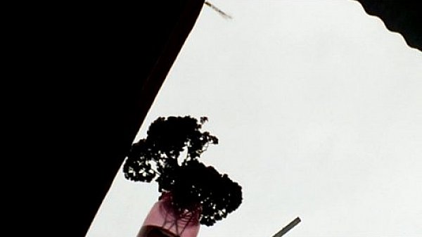 Sex tape video xxx amateur casero celular robado peruana lima peru