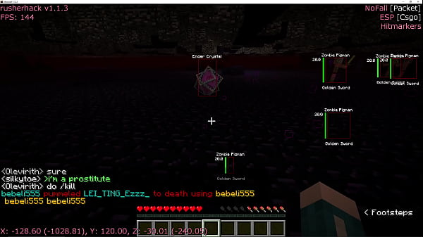 Outdated anarchy minecraft server video