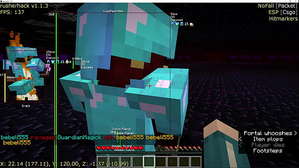 Outdated anarchy minecraft server video 