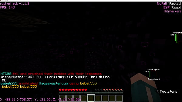 Outdated anarchy minecraft server video 