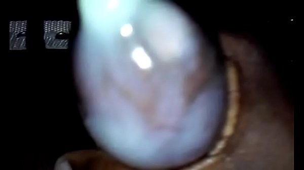 Play MP4 - mailman world