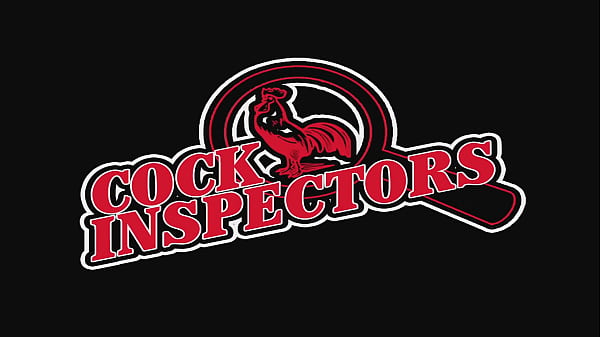 Nonton Brunette With Big Boobs Paige Ashley Sucks And Fucks In Lingerie thumbnail