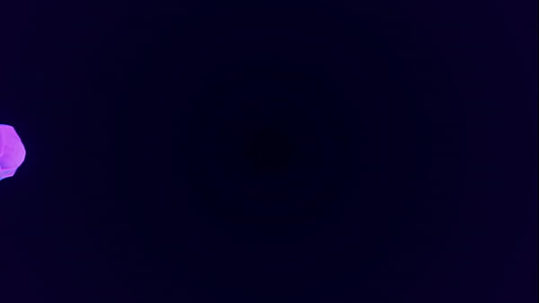 Nonton Lety Howl's First Analvids Scene thumbnail