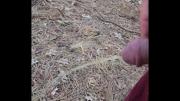 Kaso221 - outside pee 