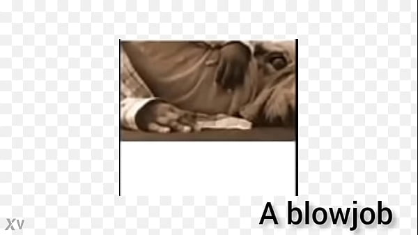 More videos that have the song 20 for sex I created for free in them that reminds me of some things I don't do all the time 1 