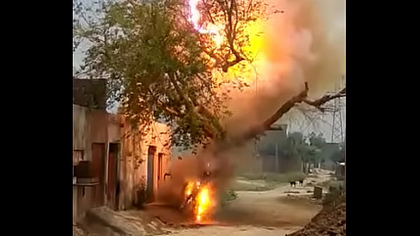 Vid-20170723-wa0003 thumbnail