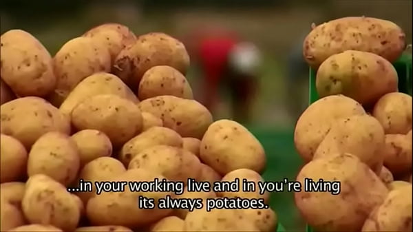 Ricky mira code geass