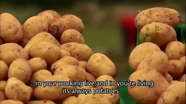 Ricky mira code geass