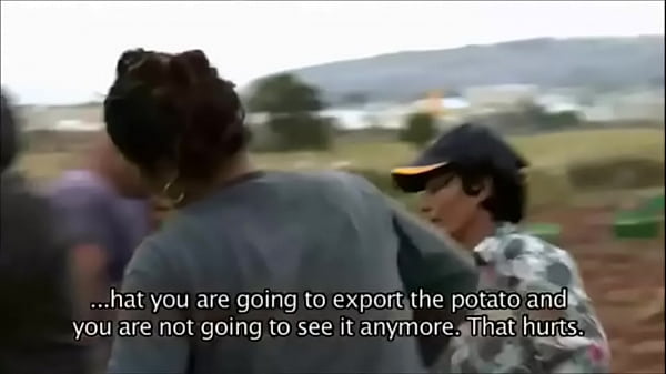 Ricky mira code geass