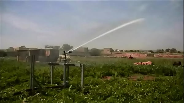 Ricky mira code geass