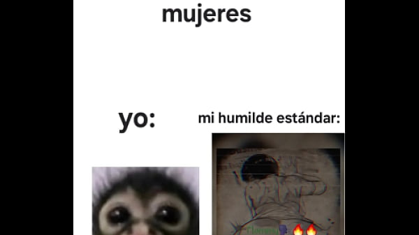 Mi humilde est&aacute_ndar