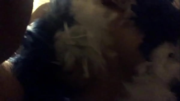 Nonton Feathers thumbnail