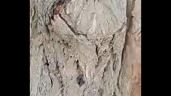 Play MP4 - Verification video