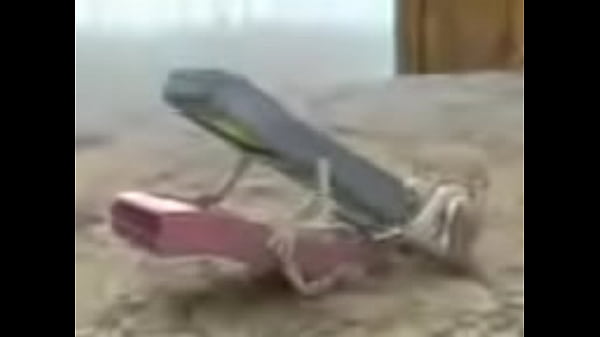 2 cellphone fucking hard
